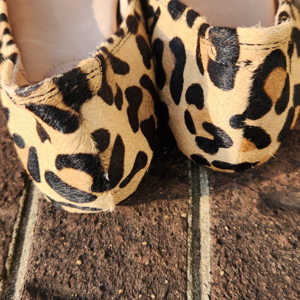 Adam Tucker Leopard-Print Flats with Black Cap Toe - Picture 6 of 8